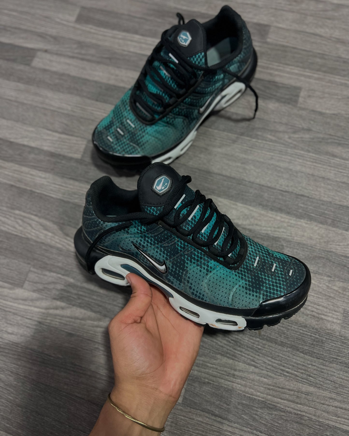 Nike Air Max Plus 10/10