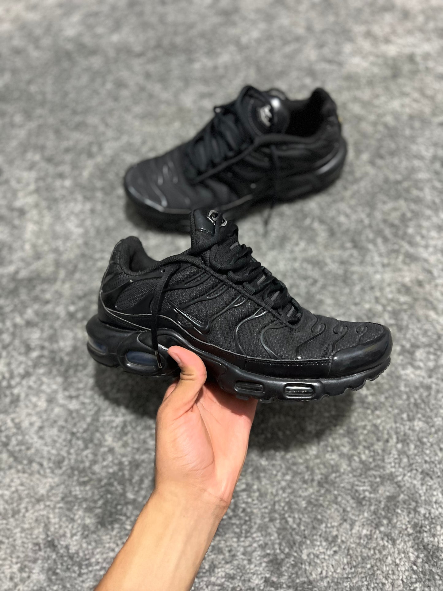 TN 3 Black 2024