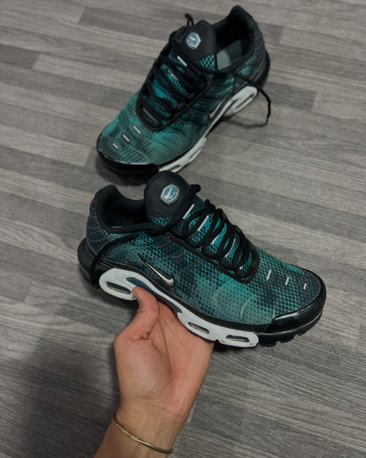 Nike Air Max Plus 10/10